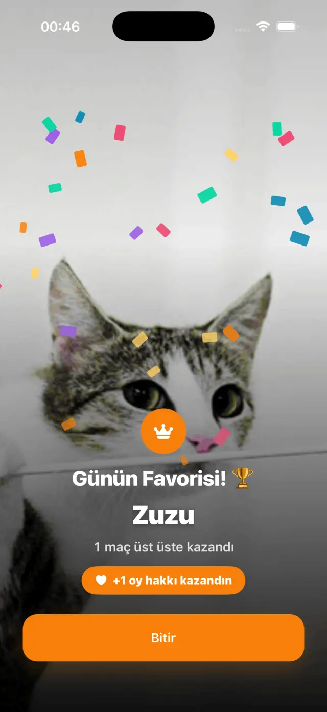 Günün favorisi kazanan kedi kutlaması