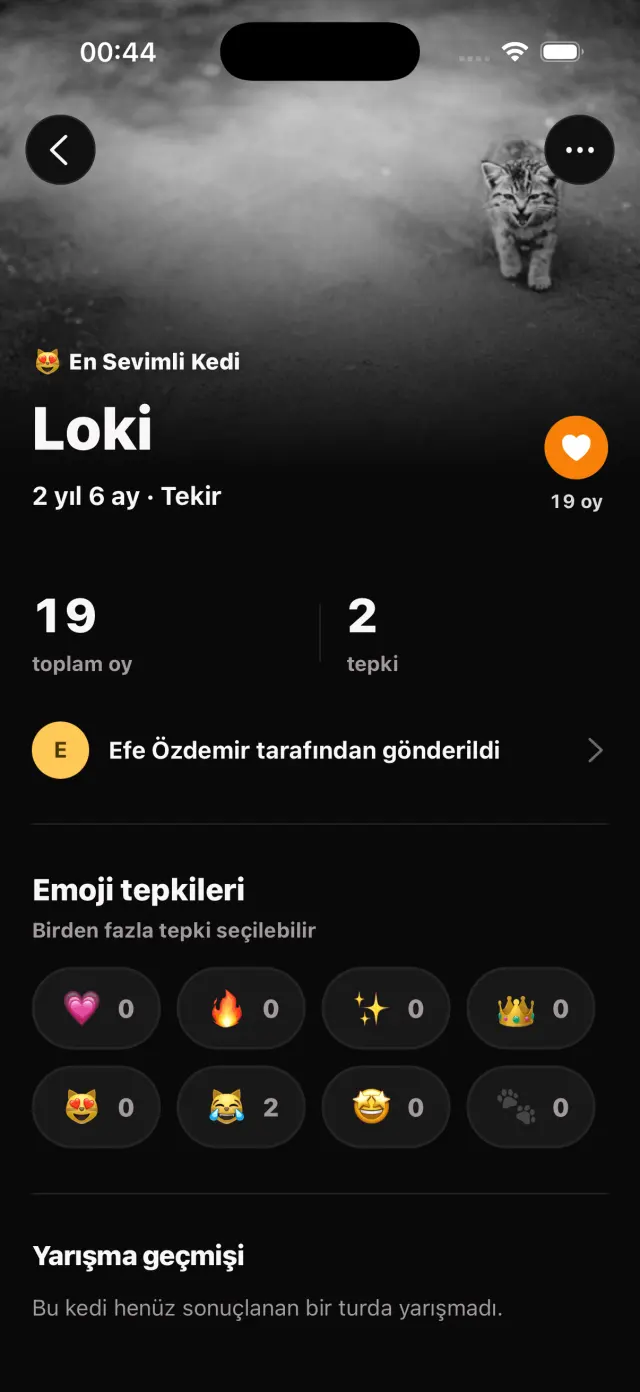 Kedi detay sayfası ve emoji tepkileri