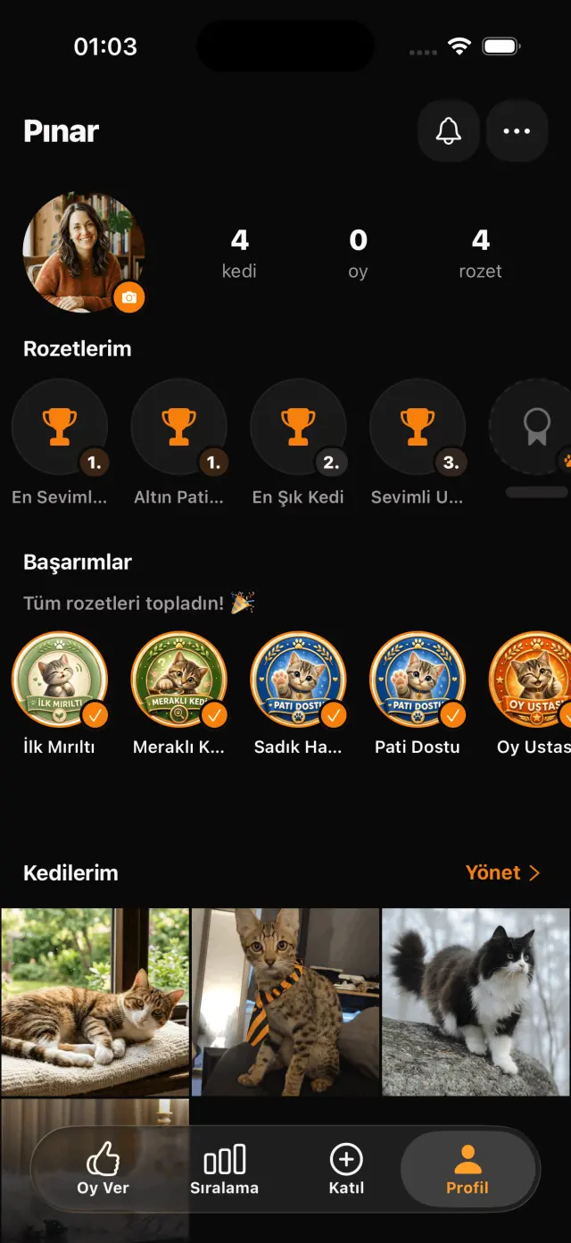 Profil: rozetler, başarımlar ve kedi koleksiyonu