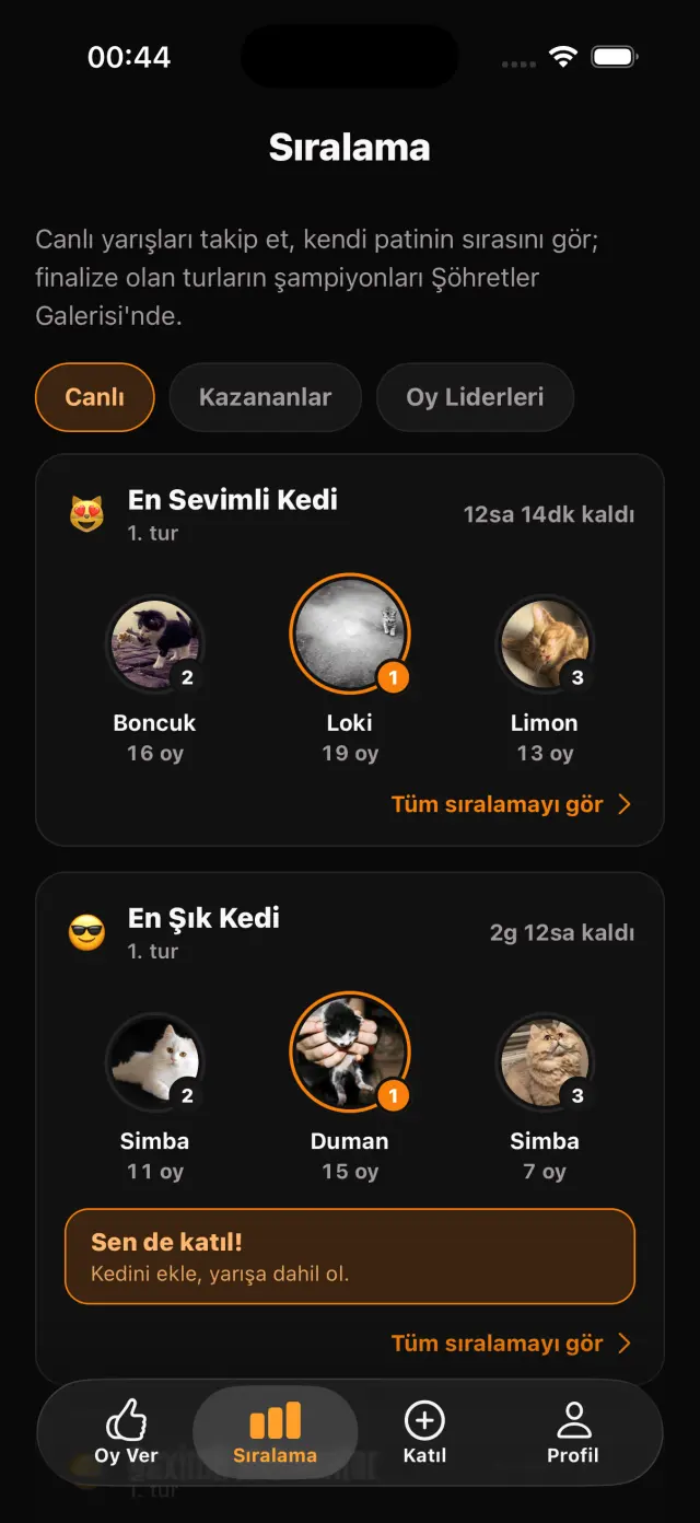 Canlı sıralama ve yarışma turları